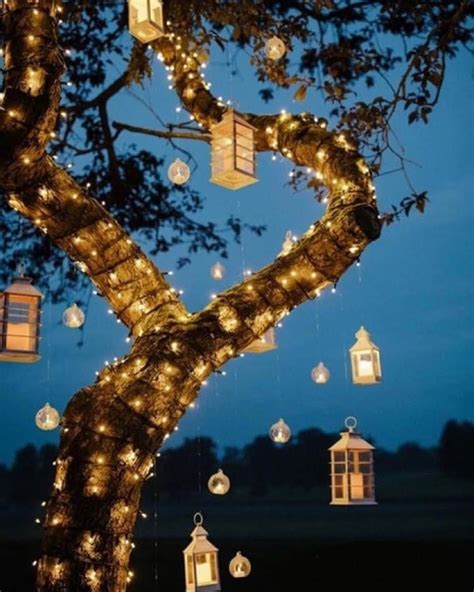 Bring a Sparkle of Magic to Your Trees with the Right Lighting Switch